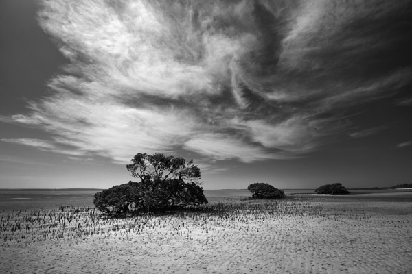 Posted in Australia, Australian, beach, black and white, HDR, landscape, 
